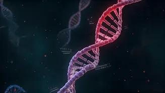 CBSE Class 12 Biology 2026: Ace Your Exam with Expert Tips & High-Yield Questions