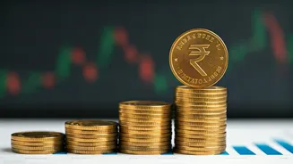 India's Top Mutual Funds: A Guide for Investors