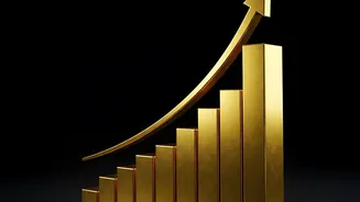 The Reader Question Raised By The Scheme's Formal-Employment Entry Numbers Concerns Payroll Record Accuracy