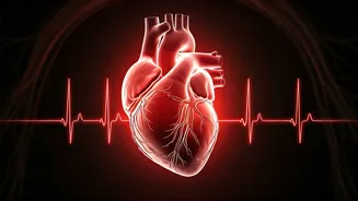 The Silent Threat: How Zero Exercise Skyrockets Resting Heart Rate and Risks Heart Health