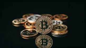 Cryptocurrency Price Dynamics: Decoding Market Movements