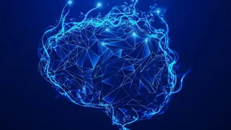 How Self-Taught Coders Analyse Open-Source Projects Privately Using Local AI Explanation Tools