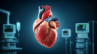 Heart Attack Recovery: What to Expect After the Event