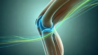 Protect Your Joint Health Using Trendy Functional Mobility Exercises