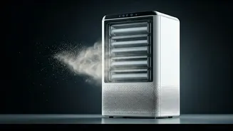 Delhi's Smog Alert: Air Purifier Insights