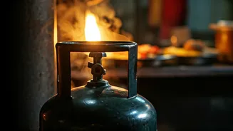 Mumbai's Street Food Priced Out: LPG Surge Threatens Iconic Flavors