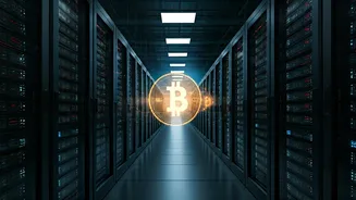 Crypto Market's Growth: From Billions to Trillions