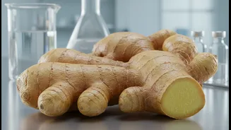 The Evidence Does Not Support Calling Ginger an Immune-System Booster