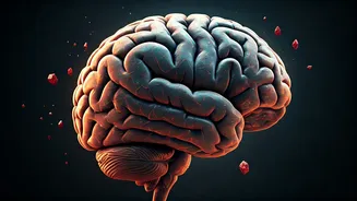 Childhood Junk Food's Lifelong Brain Rewiring: How Early Diet Shapes Adult Eating Habits