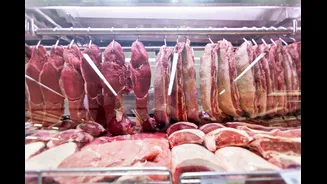 União Europeia veta compra de carnes do Brasil por questões sanitárias