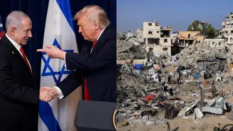 Hamas agrees to Trump's plan to disarm in Gaza
