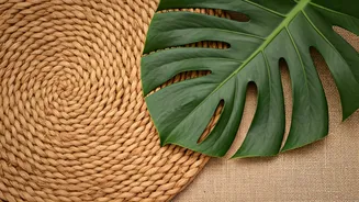 Natural Décor Is Changing Indian Homes