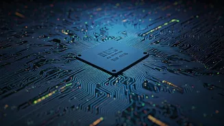 How Machine Learning Frameworks Evaluate Large Unstructured Analytics Databases