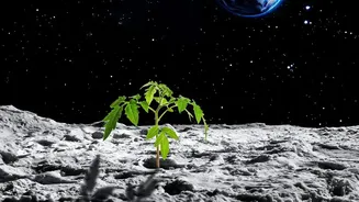 Why Scientists Need To Understand Plant Growth Before Humans Reach Mars
