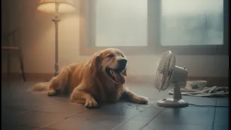 Humid Indian Homes: How Indoor Pet Overheating in Humid Homes Changes Everyday Planning