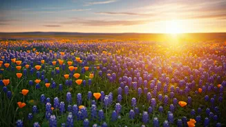 Summer Bloom Trips Are Travel Feed Gold