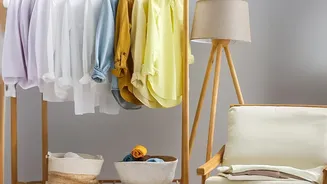 How To Manage Musty Smells From Clothes, Furniture And Damp Corners