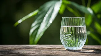 Your Daily Drinks Could Make A Monsoon Difference