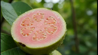Protein In Fruits? Guava Takes The Top Spot