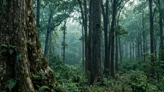 How Indian Conservationists Map Historic Ranges To Identify Future Tiger Relocation Sites