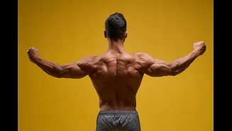 Elevação lateral: braço totalmente estendido ou levemente flexionado?