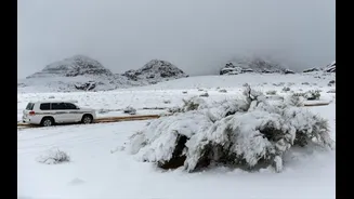 Real or AI? Rare snowfall in Saudi Arabia’s mountains amazes internet