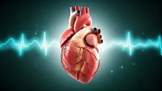 Related Stories banner