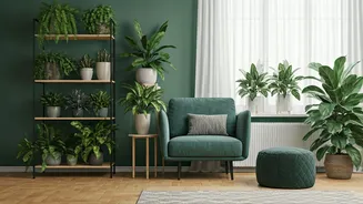 Indoor Plants Are The Low-Cost Calm Hack