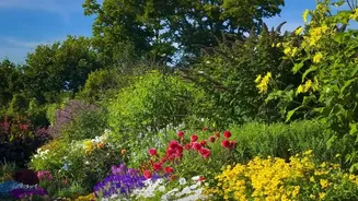 What The Latest August Gardening Advice Means For Buying Beyond Current Blooms