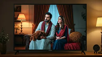 Meri Zindagi Hai Tu: Episode 12 Release Details