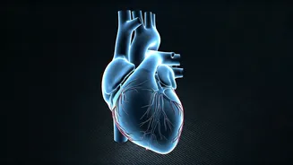 Unveiling Hypertension: Risks, Impacts, and Managing Blood Pressure