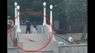 ‘Every Australian Wanted To’: Bystander Feels No Remorse After Stomping On Bondi Shooter’s Head