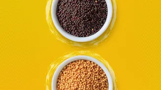 Pairing Lentils With Rice Or Seeds Solves Vegetarian Protein Deficiencies Easily