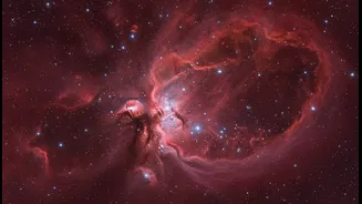 Crimson Cloud Images Can Teach Star Formation
