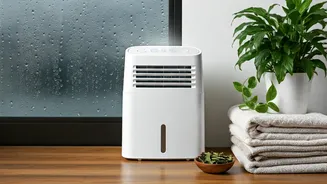 Home Care Tips For India's Rainy Season