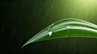 Should You Wear Sunscreen During Monsoon? Here's Why