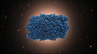 Unveiling Protein Myths: A Guide to Informed Nutrition