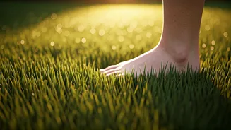 Join The Viral Park Barefoot Movement Challenge Today