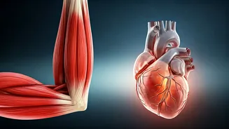 Left Arm Pain When Lifting: Is It Your Heart or Just Muscles?