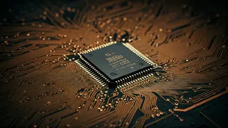 IPO Valuations: Decoding Market Distortions