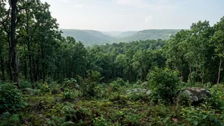 States must unite for tiger corridors