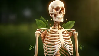 Swami Ramdev's 10 Yogic Secrets for Robust Bones: A Live Session Recap