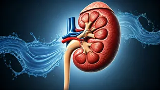 The Dangers of Overhydration: When Too Much Water Hurts