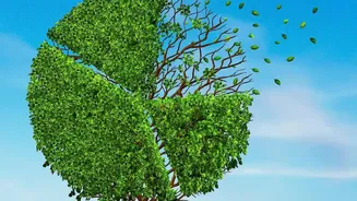 Your First ₹1 Lakh: A Simple Personal Finance Decision Tree