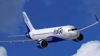 IndiGo Flight Chaos: Soldiers Stranded as Bengaluru-Delhi Flight Lands at Nagpur - Here's What Made It Worse