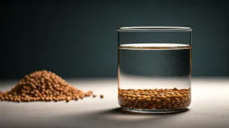 Coriander Seed Water Is The Ultimate Desi Gut Fix