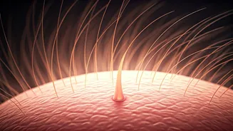 Dandruff Decoded: Understanding Malassezia and Achieving a Flake-Free Scalp