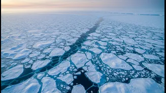 Why Antarctic Sea Ice Matters To Everyone