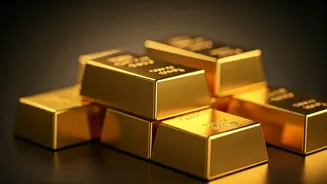 Gilli Nata's Gold Gamble: Prize Money & Growth