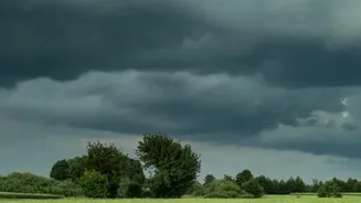 Holidaymakers Are Discovering The Charm Of India's Monsoon Landscapes